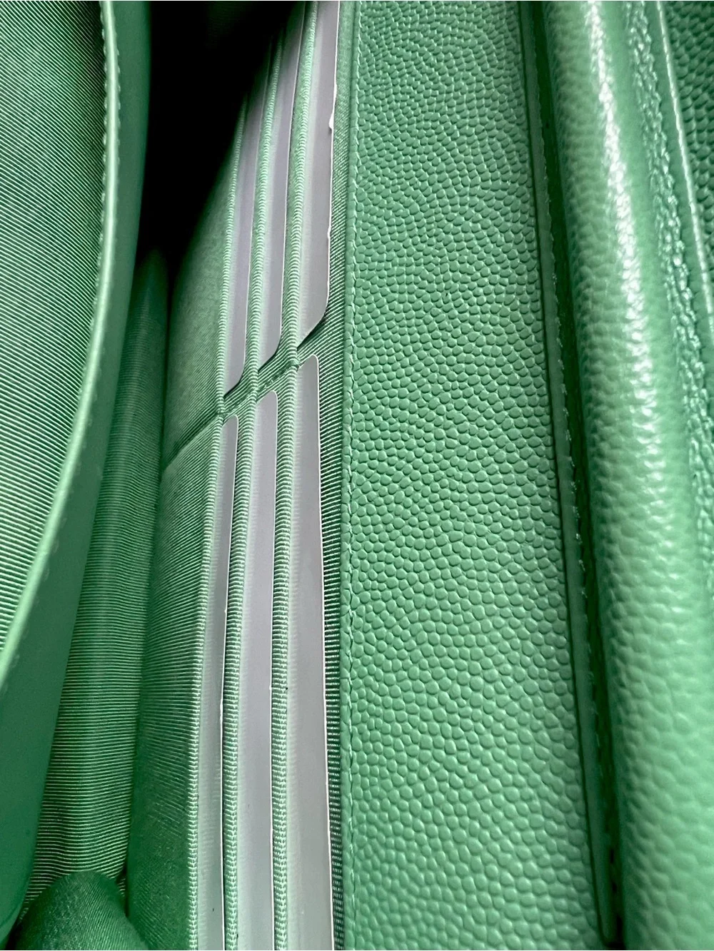 💚💚Chanel Caviar Green WOC Wallet On Chain